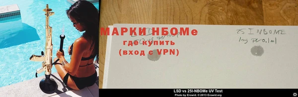 ПСИЛОЦИБИНОВЫЕ ГРИБЫ Алексеевка