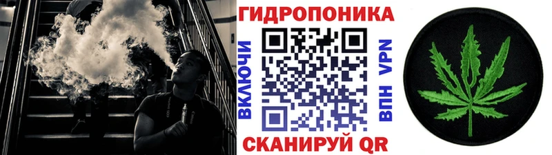 Шишки марихуана Amnesia  Изобильный 